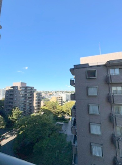 パークハウス多摩川北参番館の展望|展望