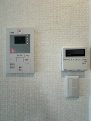 ルグナソーレグンのその他