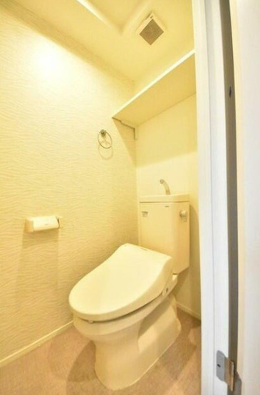 【トイレ】 | グランディール川崎 | トイレです
