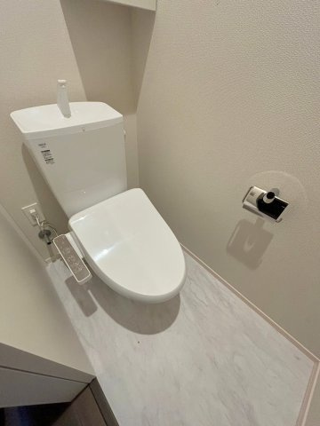 Ｇａｉａのトイレ