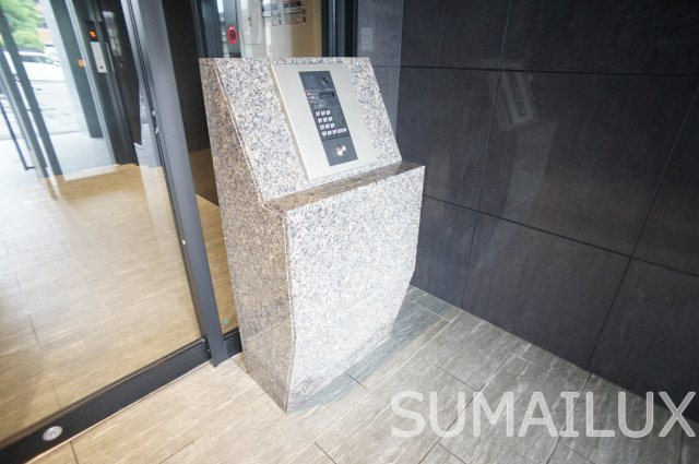 熊本市南区田迎３丁目の賃貸マンションのエントランス