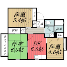 【間取り】 | ニュープレミール　C
