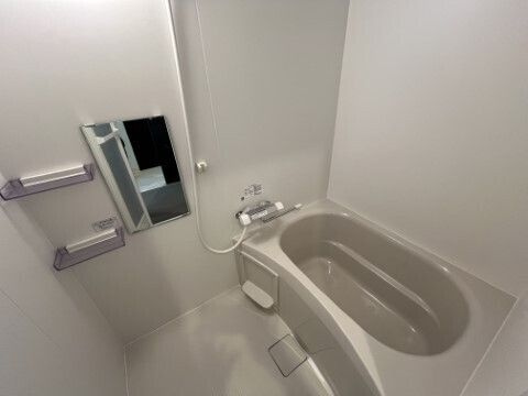 ジーメゾン山科エミールの浴室