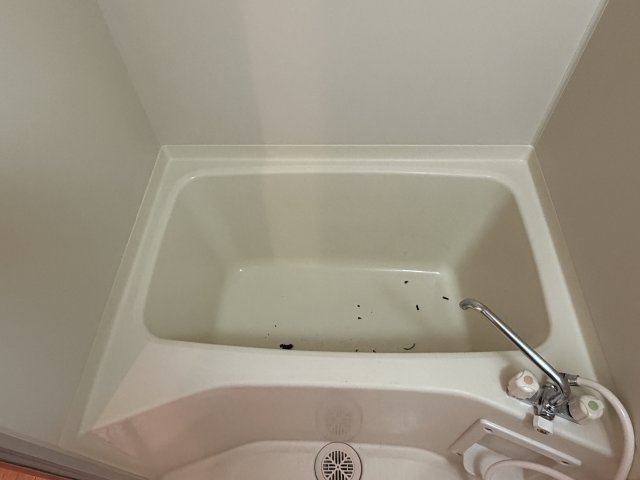 パセオきわの浴室