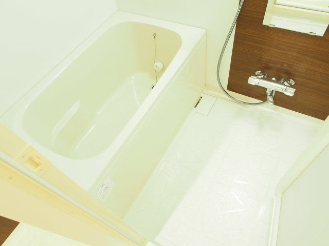 アルデールトモ北堀江の浴室