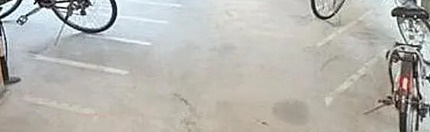 シルフィ目白台のその他