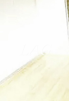 【居間・リビング】 | アベニール大塚 | 洋室のお部屋です。