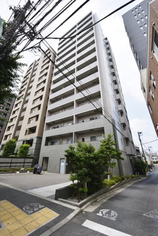 SYNEX HON-KOMAGOME