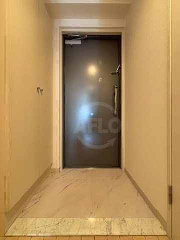 ウィルテラスなんば南の玄関|サムティナンバ南　シューズボックス