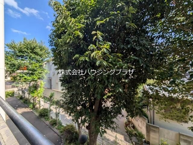 ティブロンコートの展望