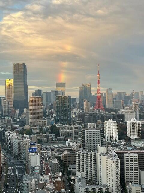 プレミストタワー白金高輪の展望