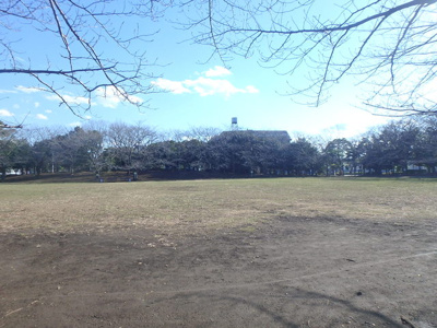 蕨市民公園まで400ｍ