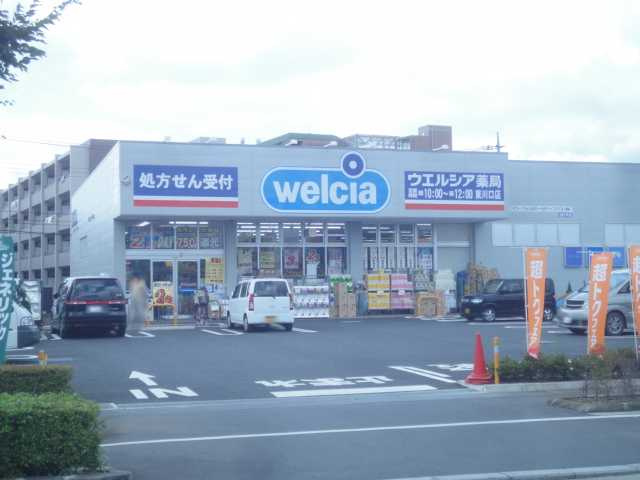 フェアリーコートの周辺|ウエルシア東川口店まで199ｍ