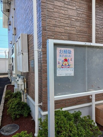 サウザンド，エムのその他