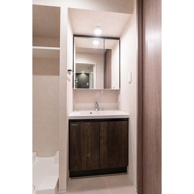 クラリティア入谷(クラリティアイリヤ)の洗面所