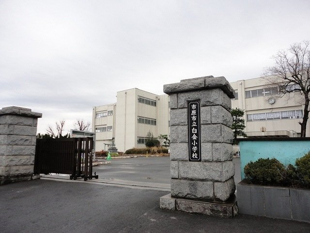 【周辺】 | スカイハイツ | 市原市立白金小学校まで260m