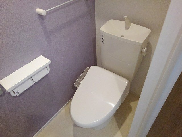 ポワール・メゾン　Ｔ３のトイレ|落ち着いた色調のトイレです