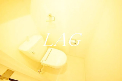 【トイレ】 | ライズ中野新橋 | トイレです。