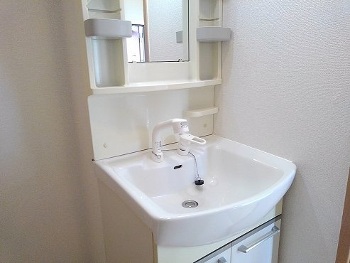 ファミィール　ロジュマンの洗面所