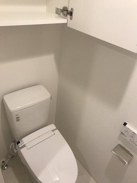 メイクスデザイン新宿落合(メイクスゼザインシンジュクオチアイ)のトイレ