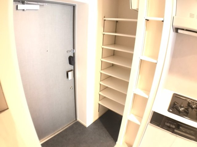 ART RESIDENCE IN KASHIWA-no-HA～アートレジデンスインカシワノハ～の玄関|※反転タイプ、現況優先