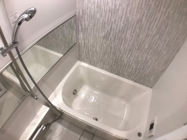 ART RESIDENCE IN KASHIWA-no-HA～アートレジデンスインカシワノハ～の浴室