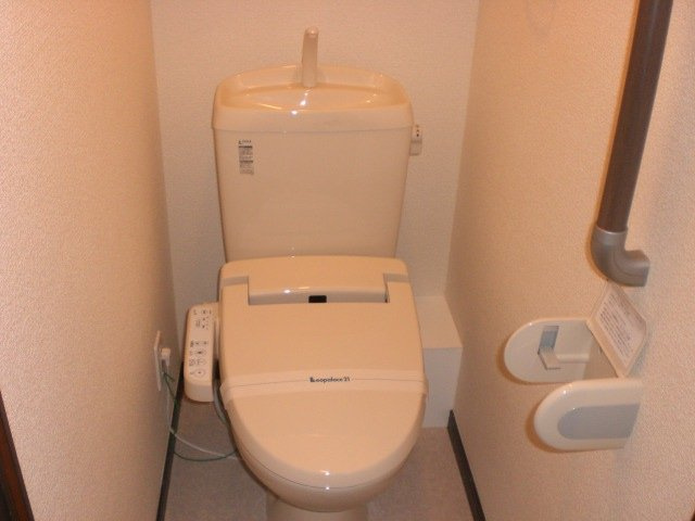 レオネクストルナのその他