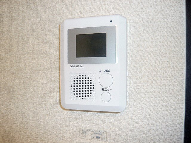 レオネクストルナのその他