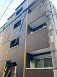 グラッタブルコマゴメの画像