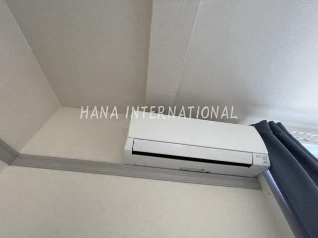 グリーンドゥのその他