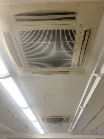 シャトートウダイの内装