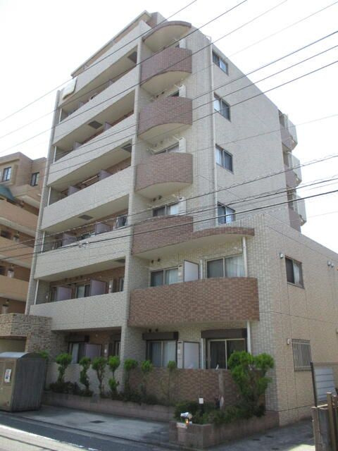 スプリングライトの外観