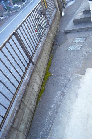 シティハイム大路のバルコニー|※別部屋のイメージ写真です。