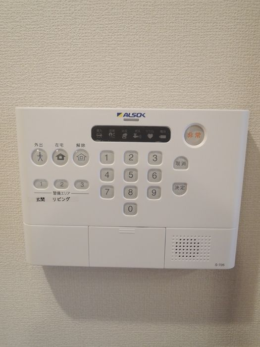 カスミソウのセキュリティ