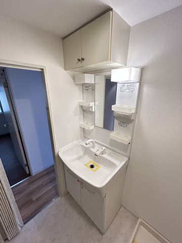 リエス桜川の洗面所