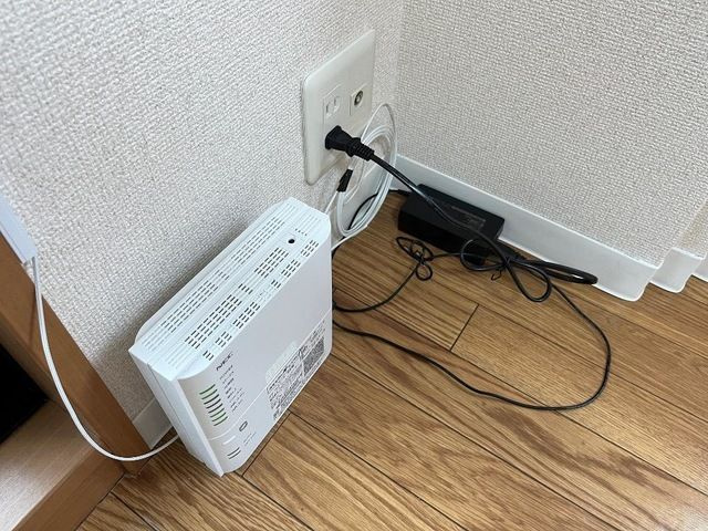 【その他】 | ハイムカトレア