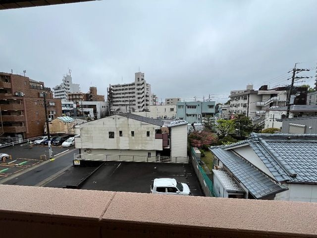 【展望】 | ハイムカトレア