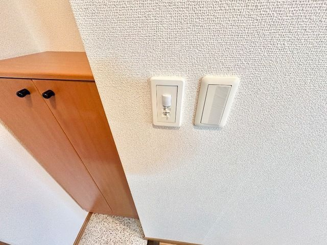 【その他】 | ハイムカトレア