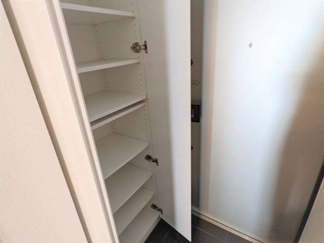 アゼスト堀切菖蒲園Ⅱの収納|ちょっとした収納スペースも充実しています