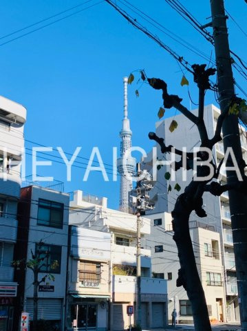 リブリ・T　Eastの展望