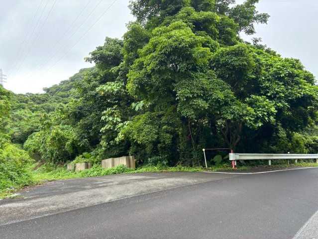 今帰仁村今泊(5946坪)の外観