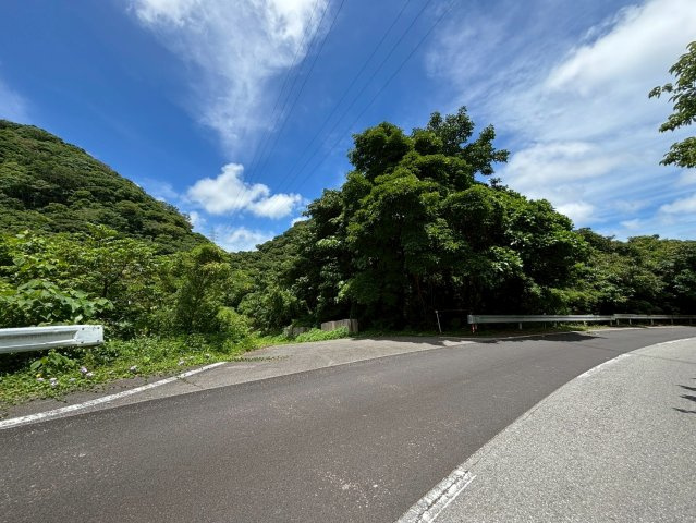 今帰仁村今泊(5946坪)の周辺