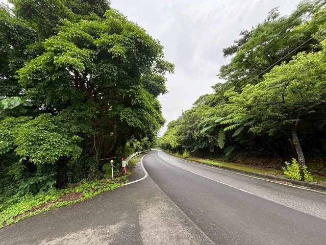 今帰仁村今泊(5946坪)の周辺