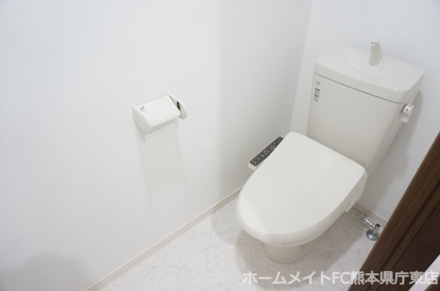熊本市中央区新大江３丁目の賃貸マンションのトイレ