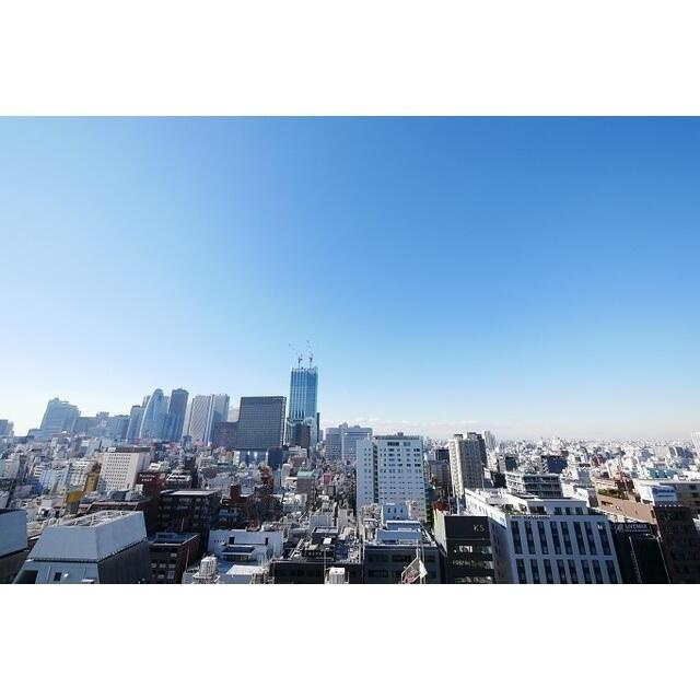 コンフォリア新宿イーストサイドタワー(コンフォリアシンジュクイーストサイドタワー)の展望