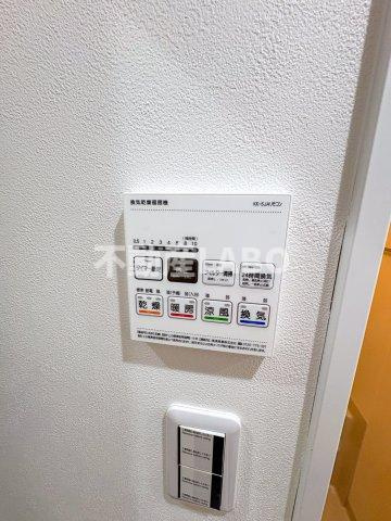 Luce Chiyozakiのその他