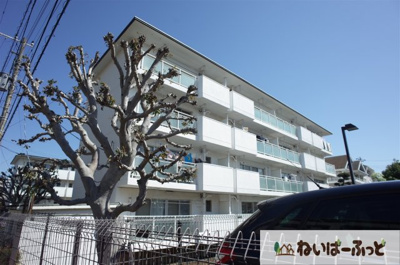 【外観】 | コーポモリヨシ2号棟 | 安心感のあるコンクリート造のマンションタイプ☆