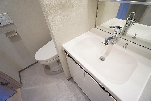 リテラス南千住サウス(リテラスミナミセンジュサウス)の洗面所