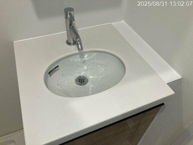 Ｌｉｖｅ　Ｆｌａｔ蔵前の洗面所