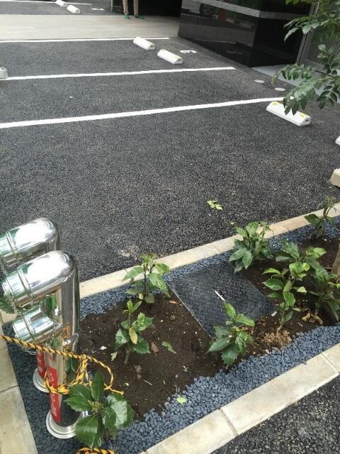 メインステージ錦糸町Ⅶラピス(メインステージキンシチョウセブンラピス)の駐車場